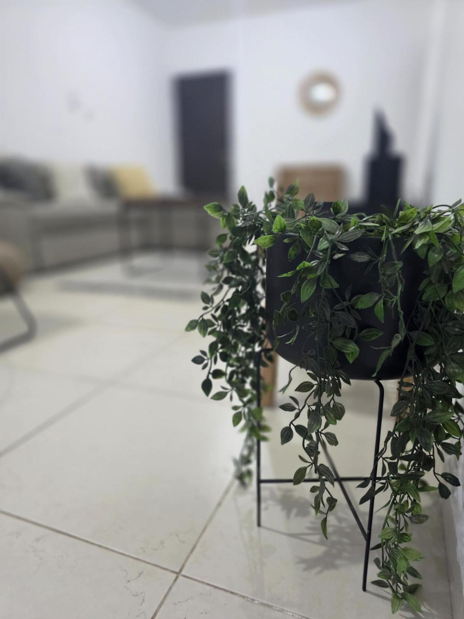 Epicurian Residence Nicosia Buitenkant foto